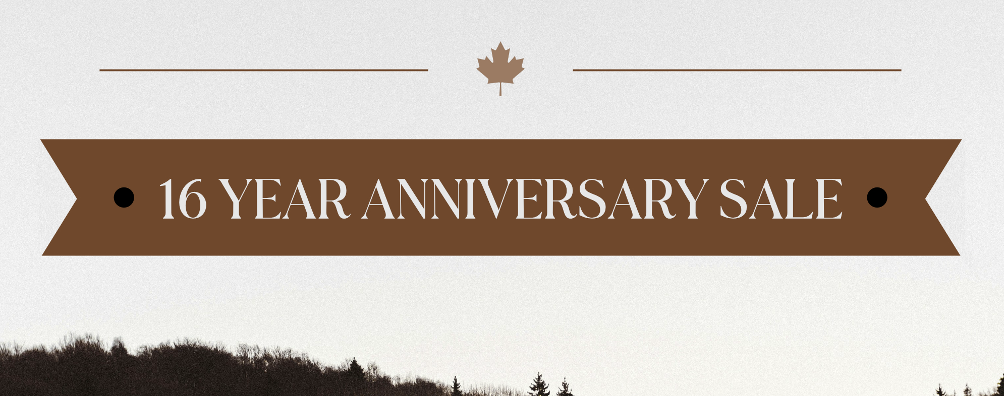 16th Anniversary Sale