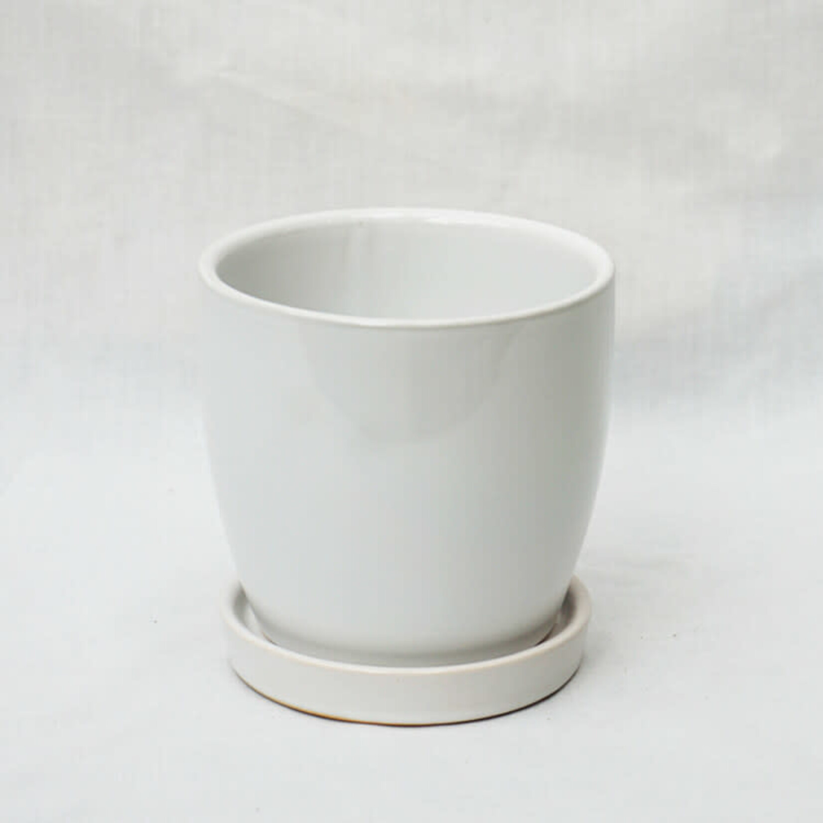 Pot, White 4.5" with Saucer