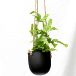 Potcover, Hanging  Black 3 in