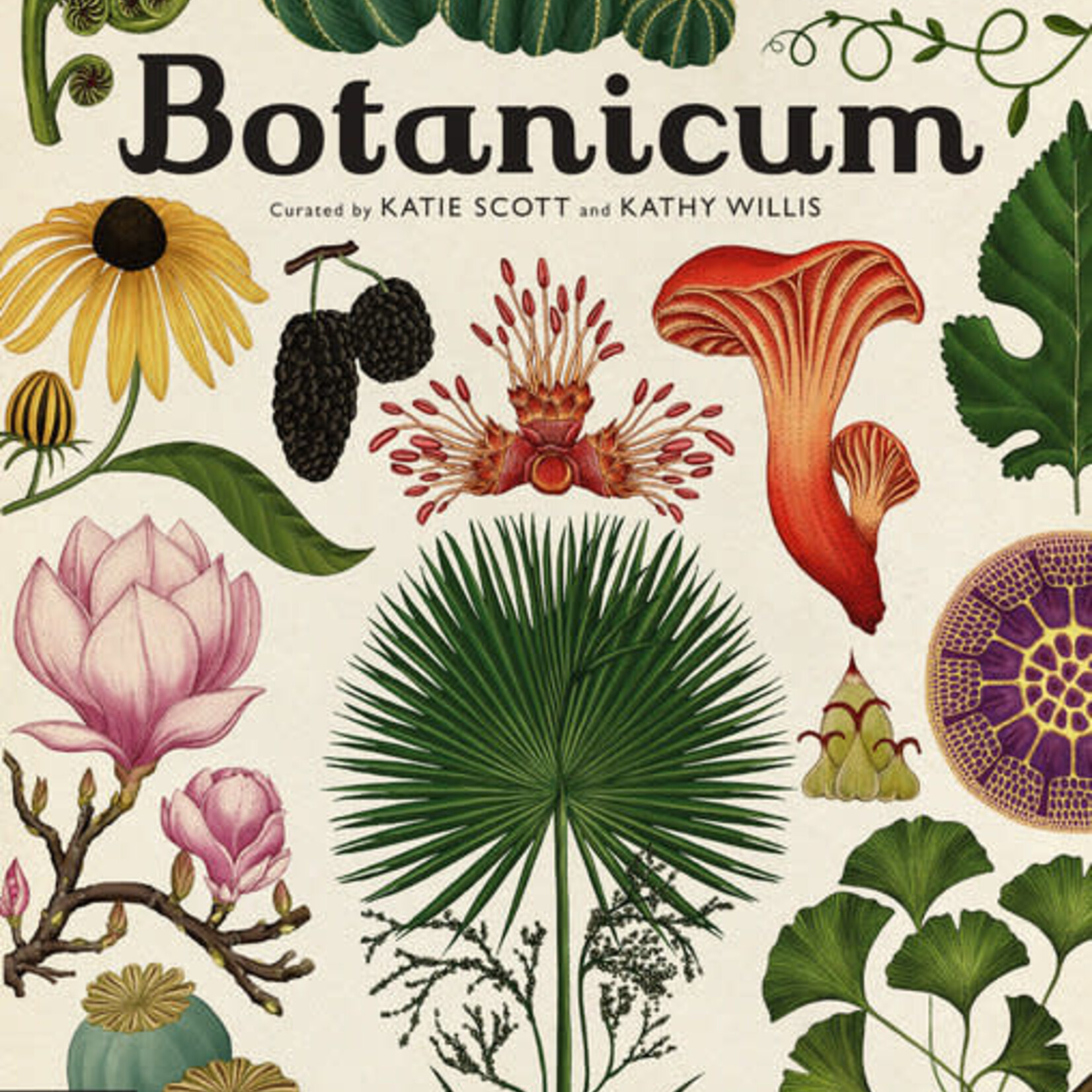 Book, Botanicum