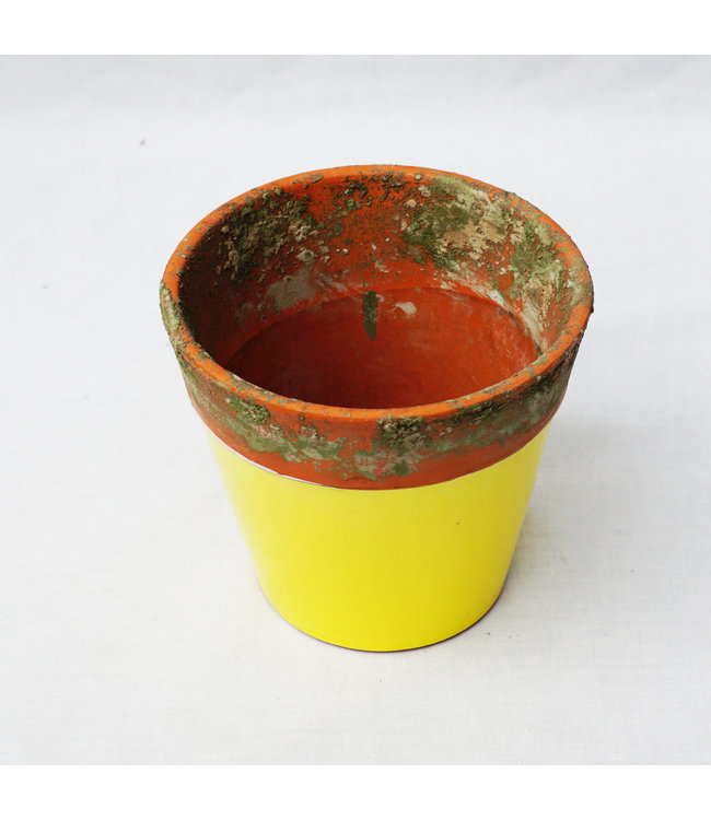 Pot, Yellow Terr 13cm