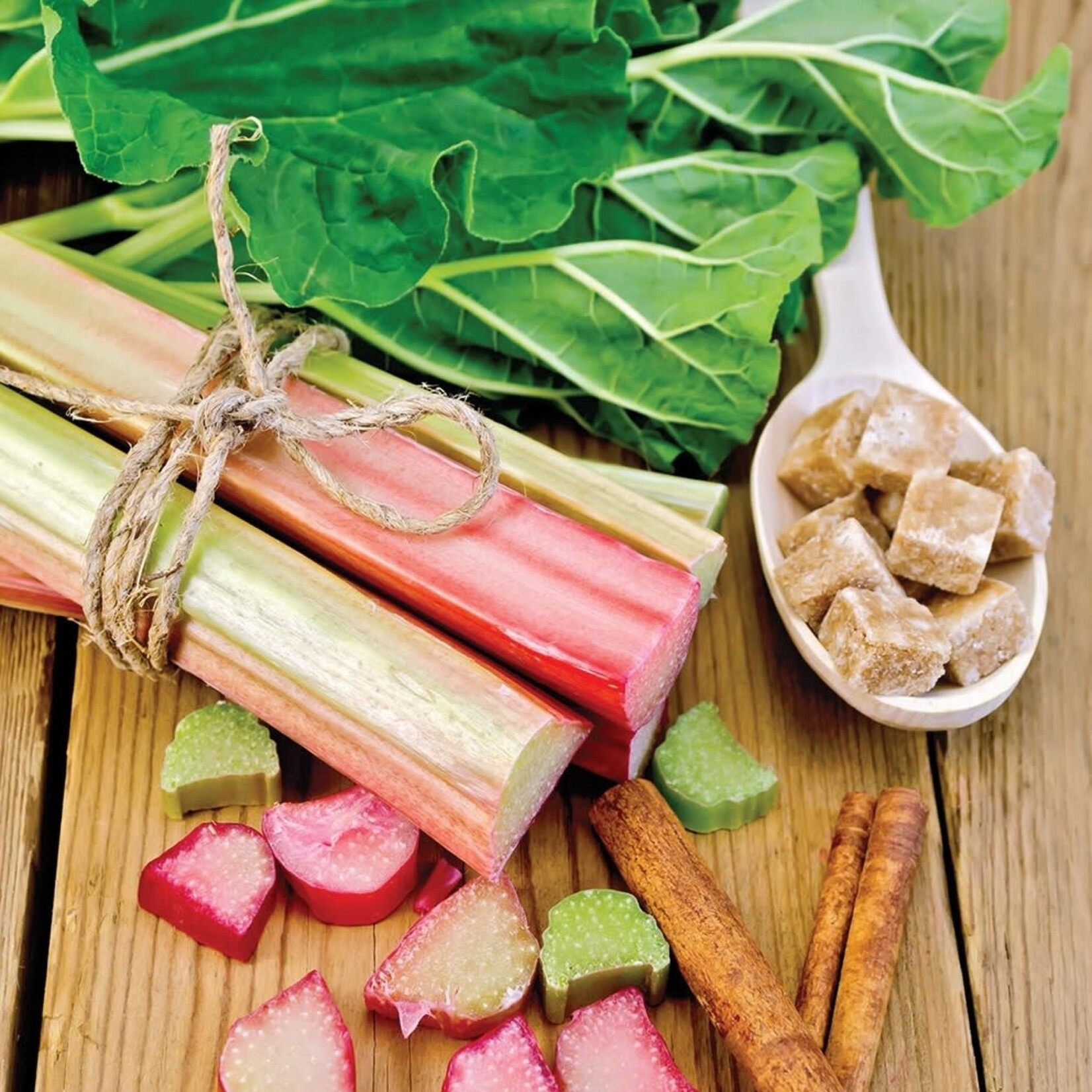 Rhubarb, Canada Red 1G