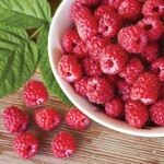 Raspberry, Heritage 1G