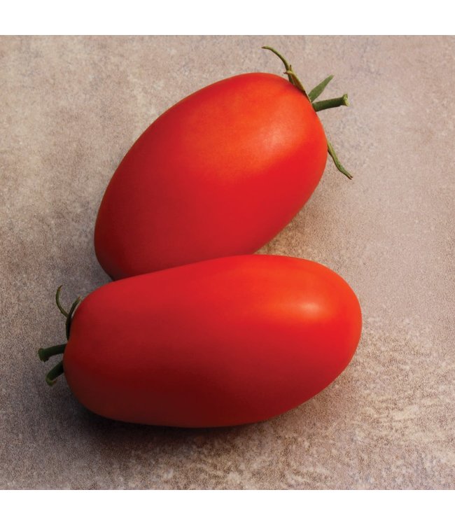 Tomato, Supremo 4 in
