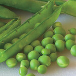 Seeds, Peas Green Arrow (West Coast Seeds)