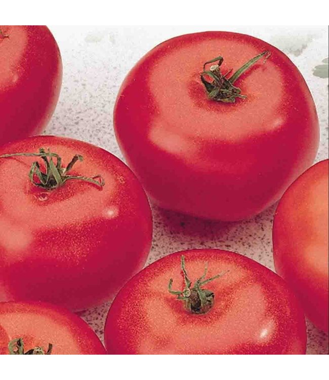 Seeds, Tomato Manitoba (McKenzie)