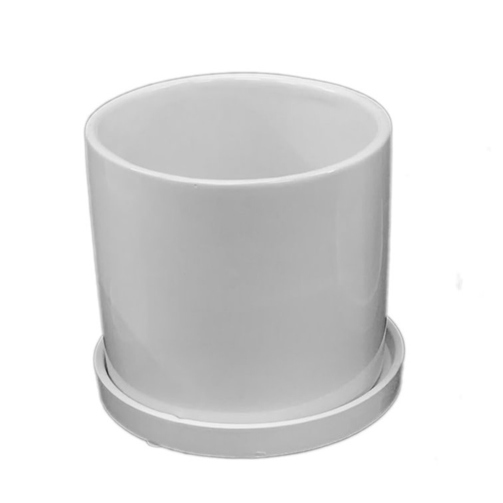 Pot, Gloss White Cylinder w Saucer 4.5 in