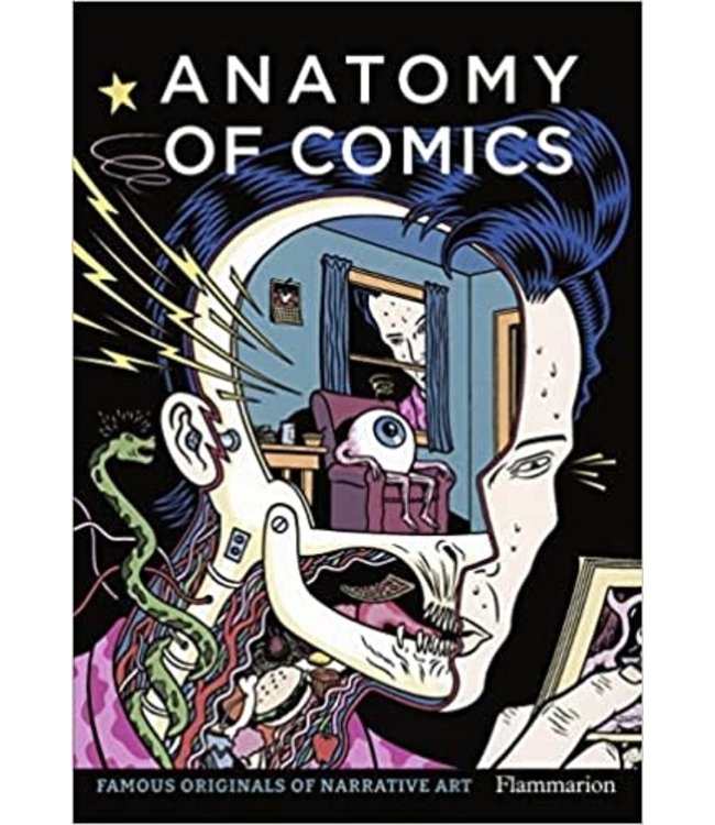 Book, Anatomy of Comics