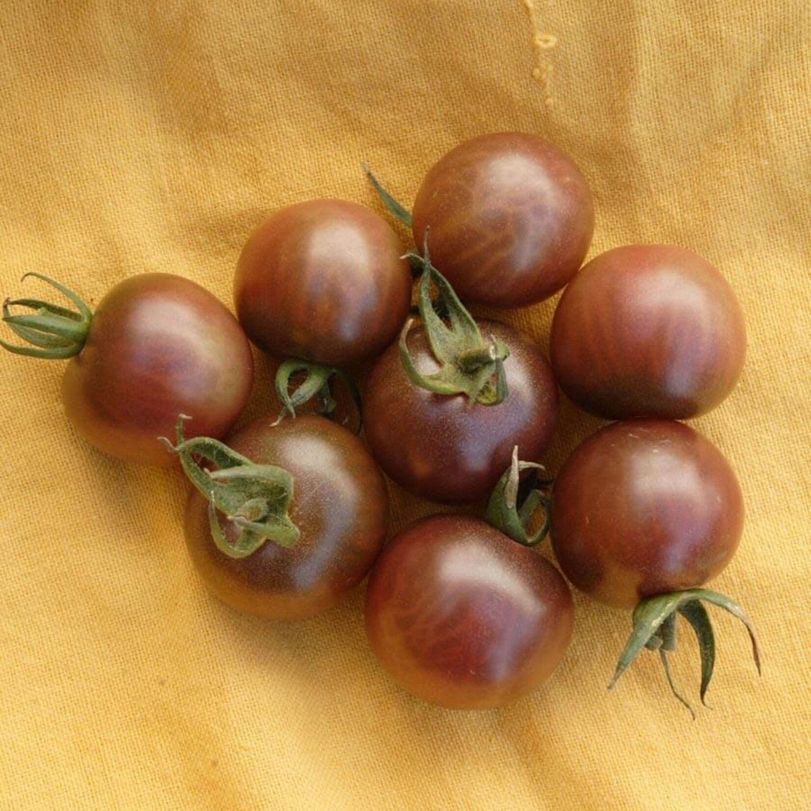 Seeds, Tomato Black Cherry (West Coast Seeds)