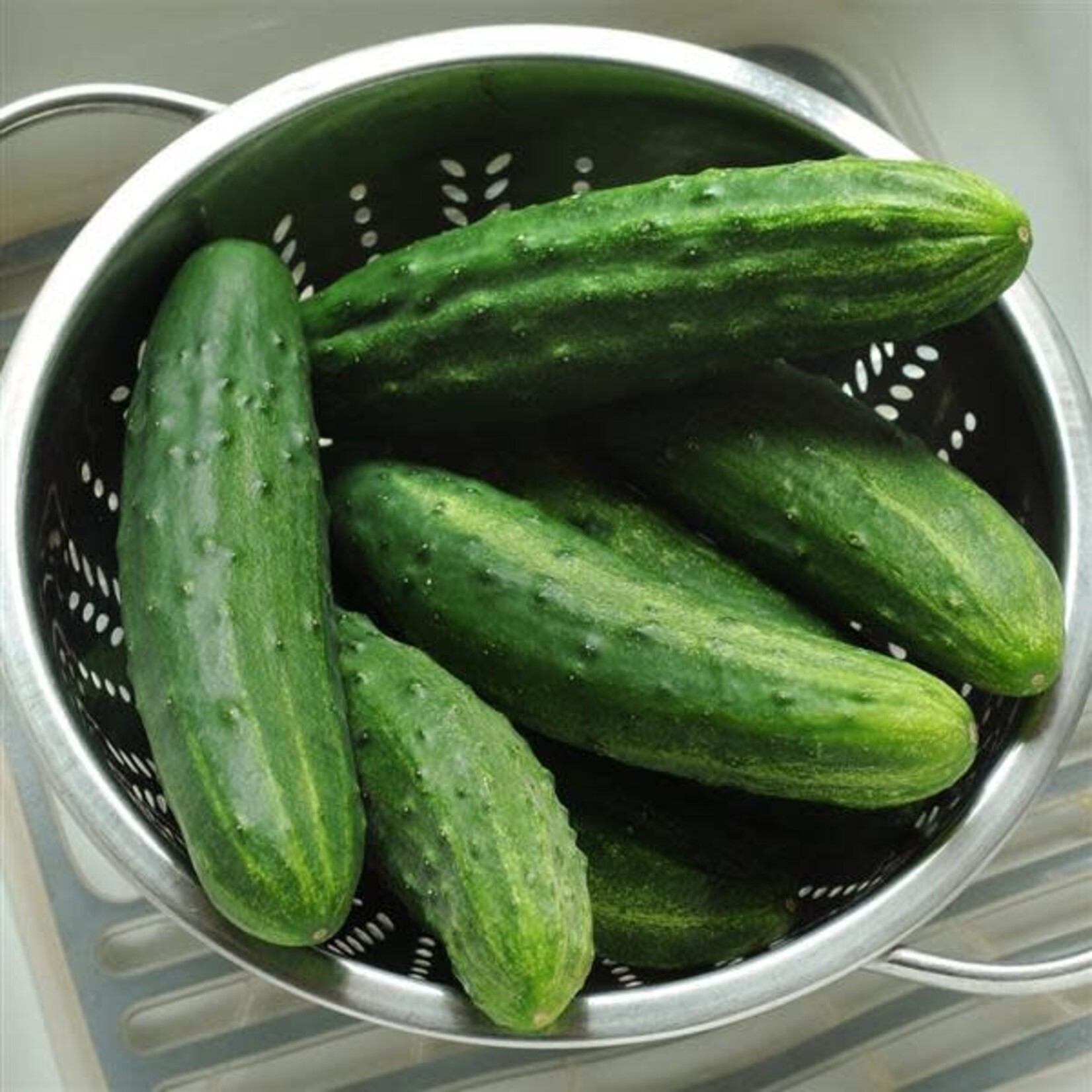Cucumber, Patio Snacker 4 in