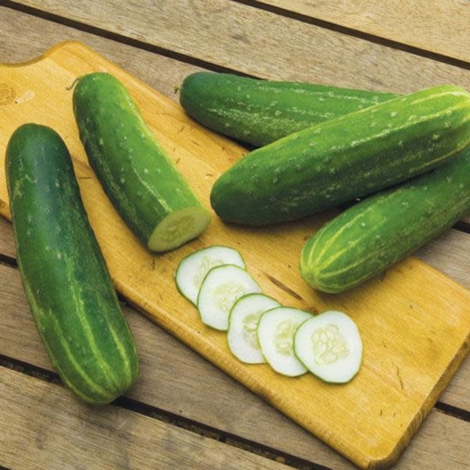 Cucumber, Straight Eight 4 in