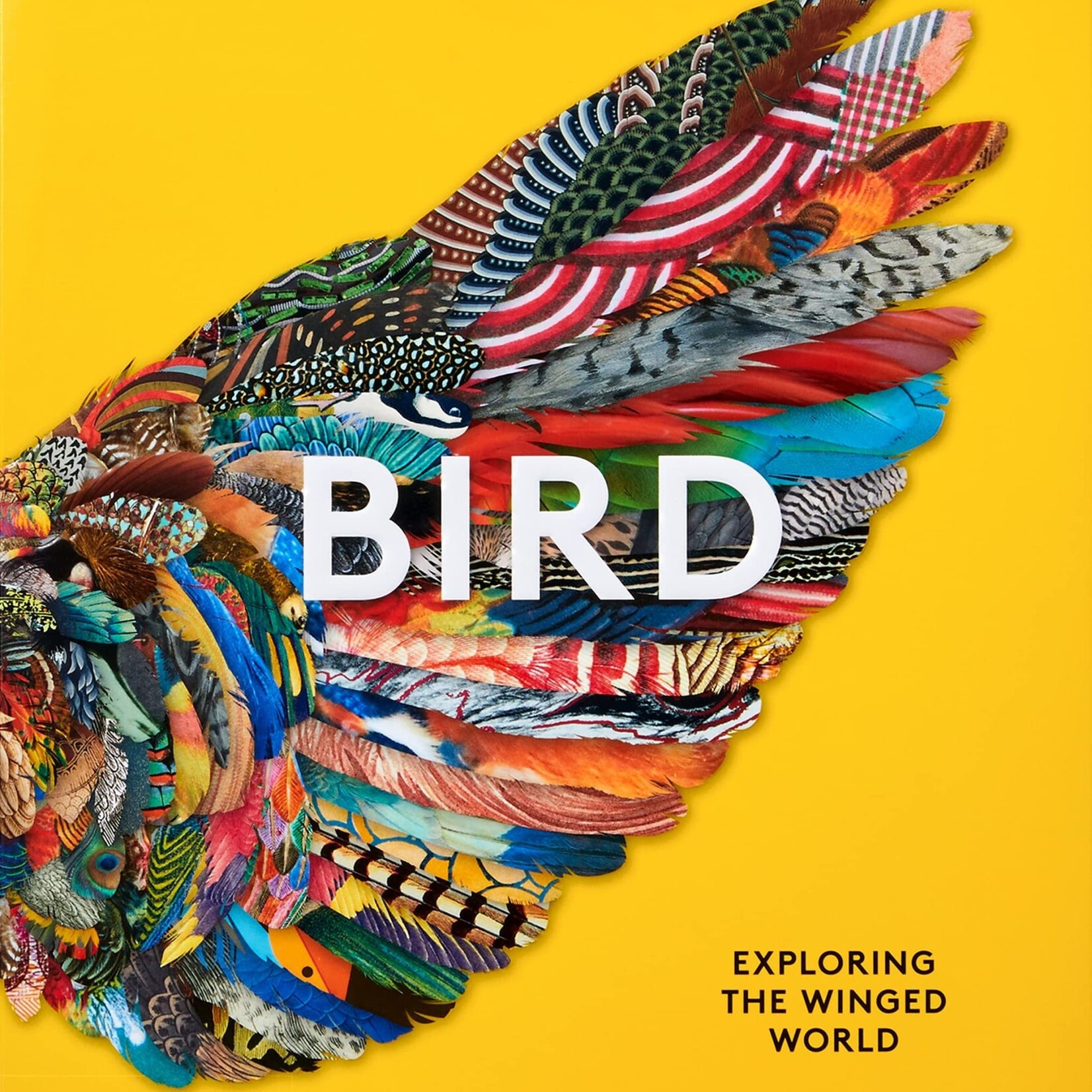 Book, Bird: Exploring the Winged World