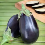 Eggplant, Black Beauty 4 in