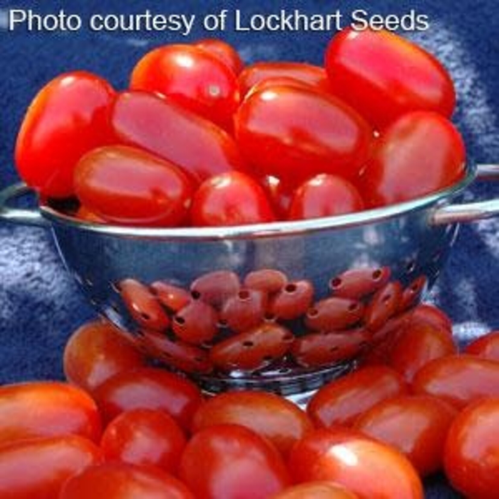 Tomato, Red Grape 4 in