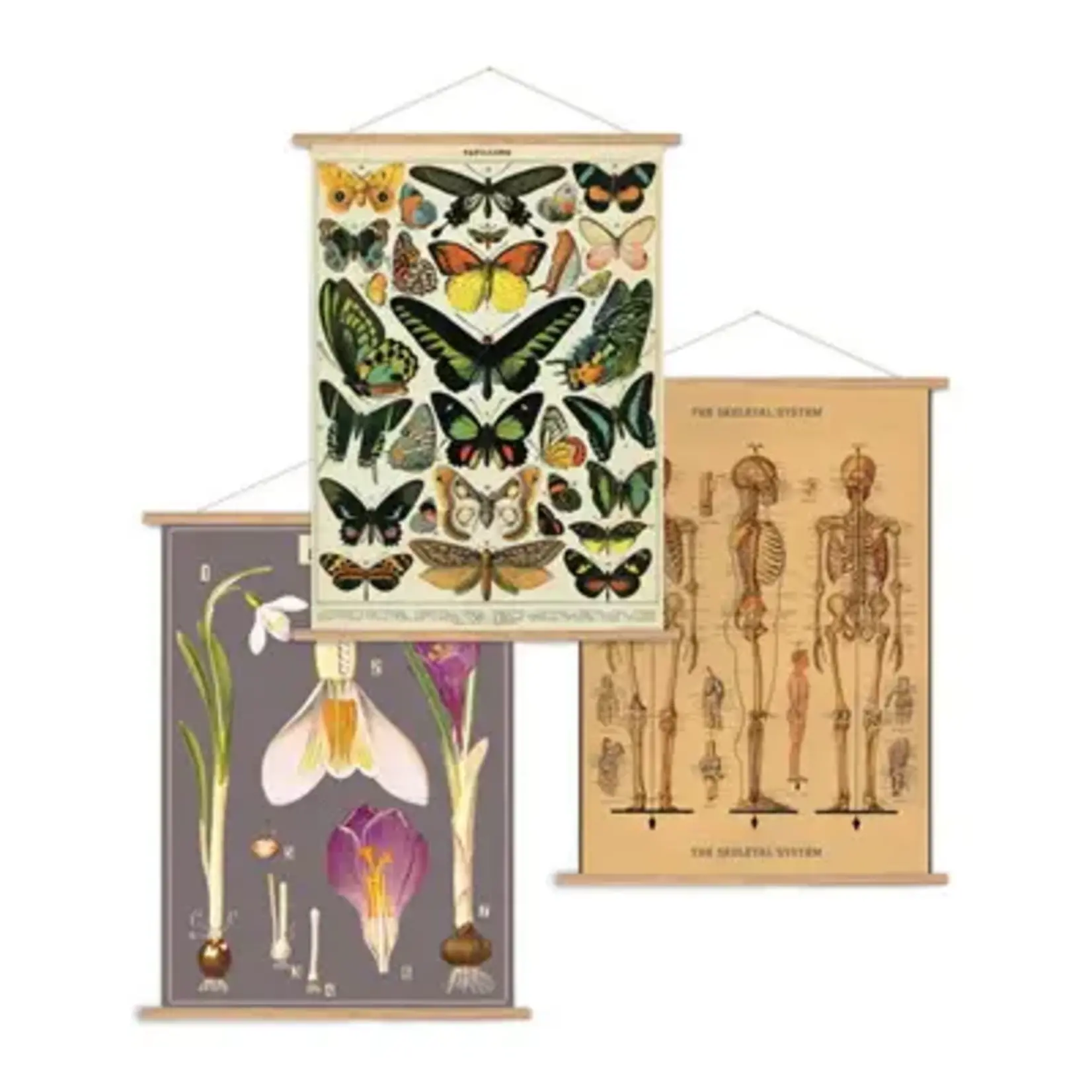 Poster Kit, Wooden Vertical