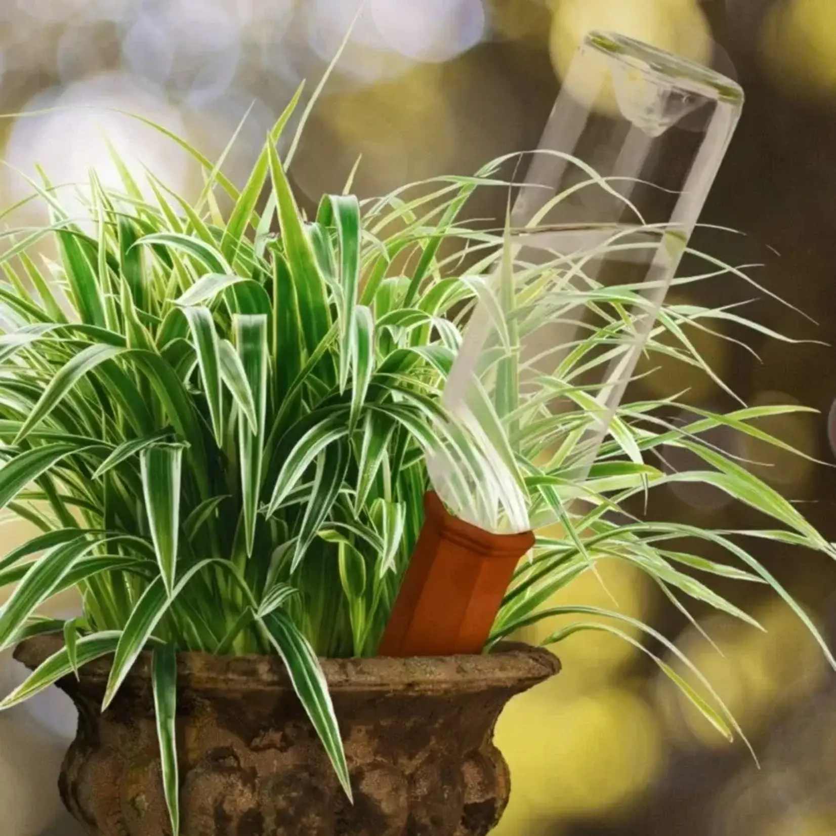 Watering Spike, Self Water with Wine Bottle