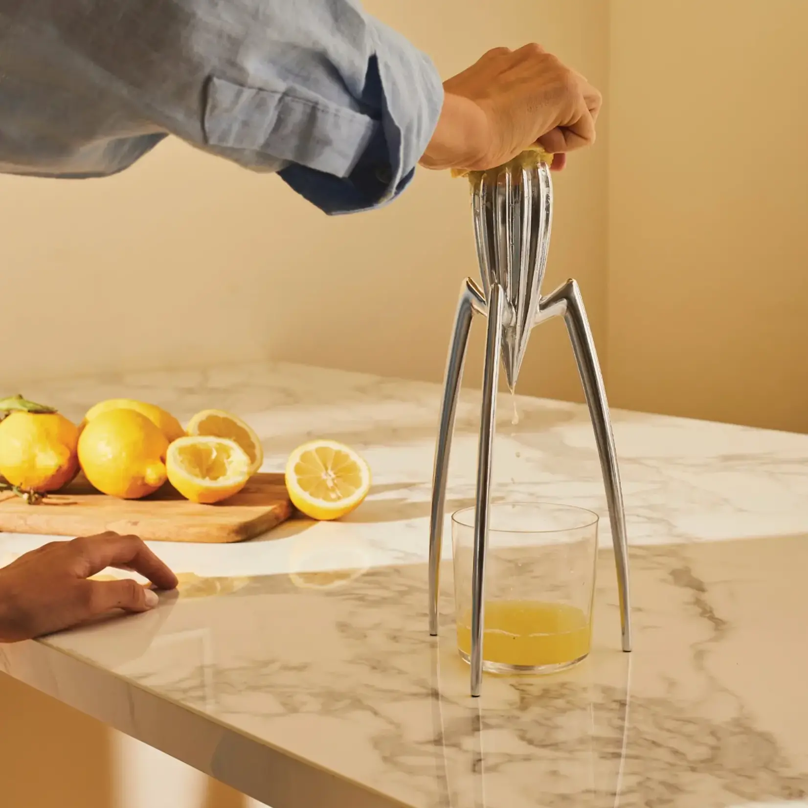 Juicer, Juicy Lemon Squeezer