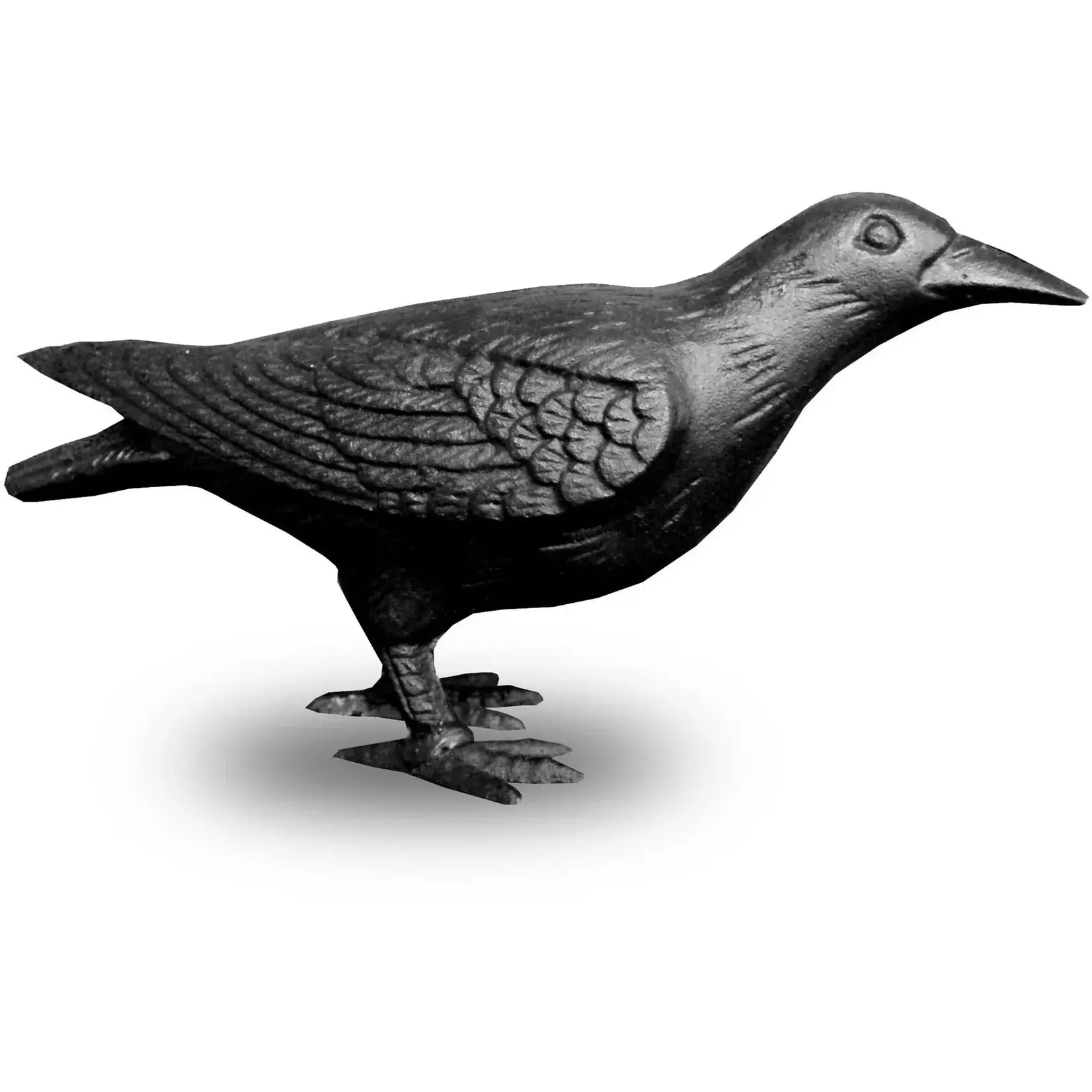 Crow, Cast Iron