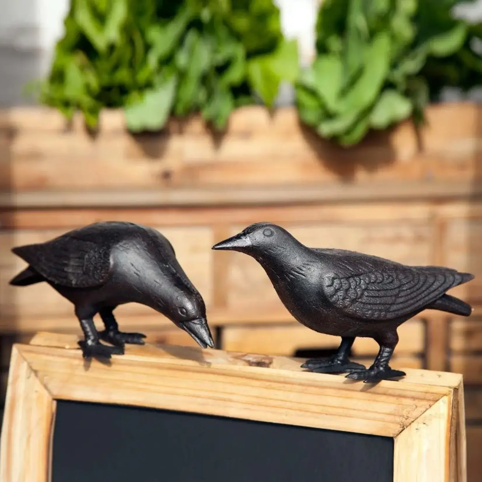 Crow, Cast Iron