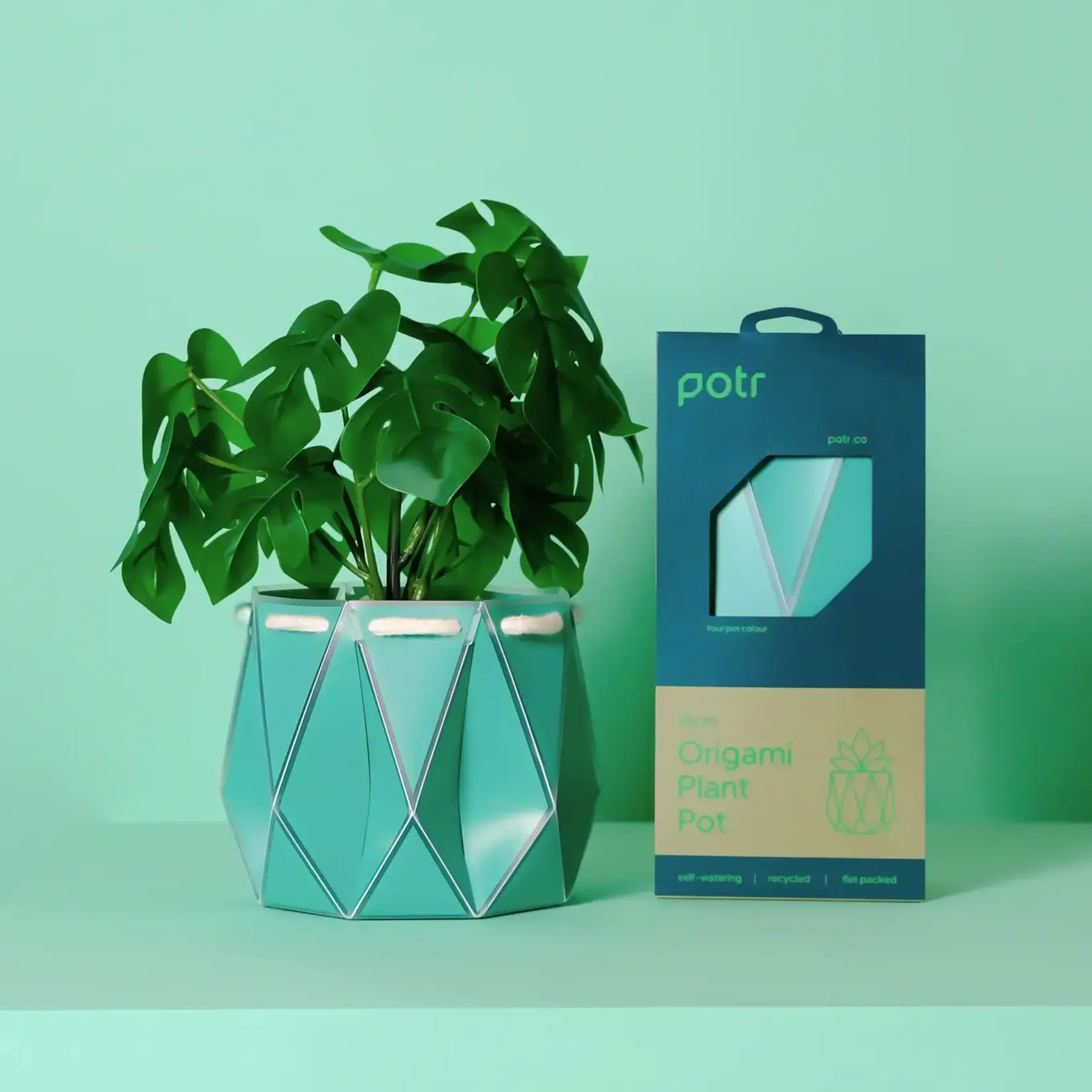 Pot, Self-watering 15cm