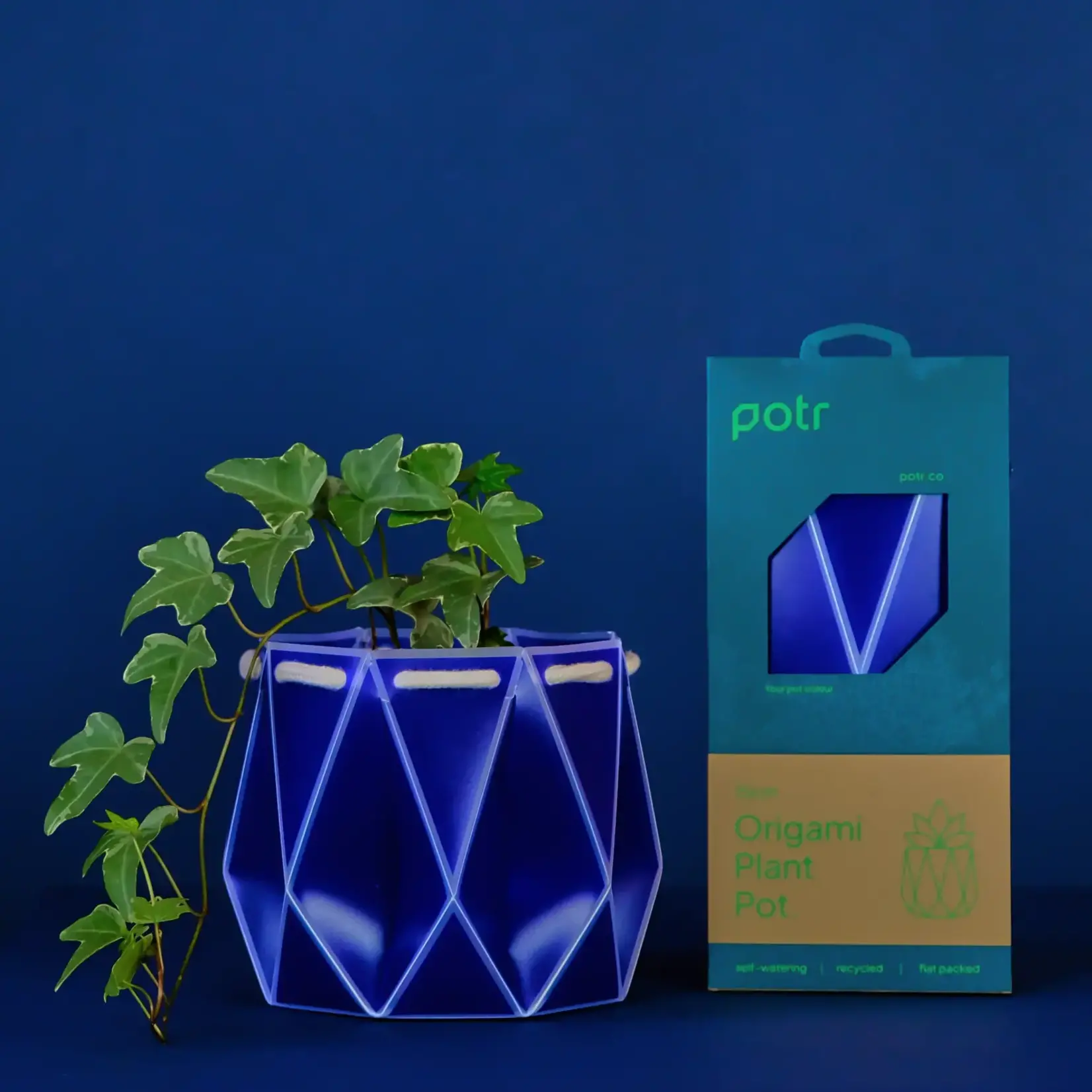 Pot, Self-watering 15cm
