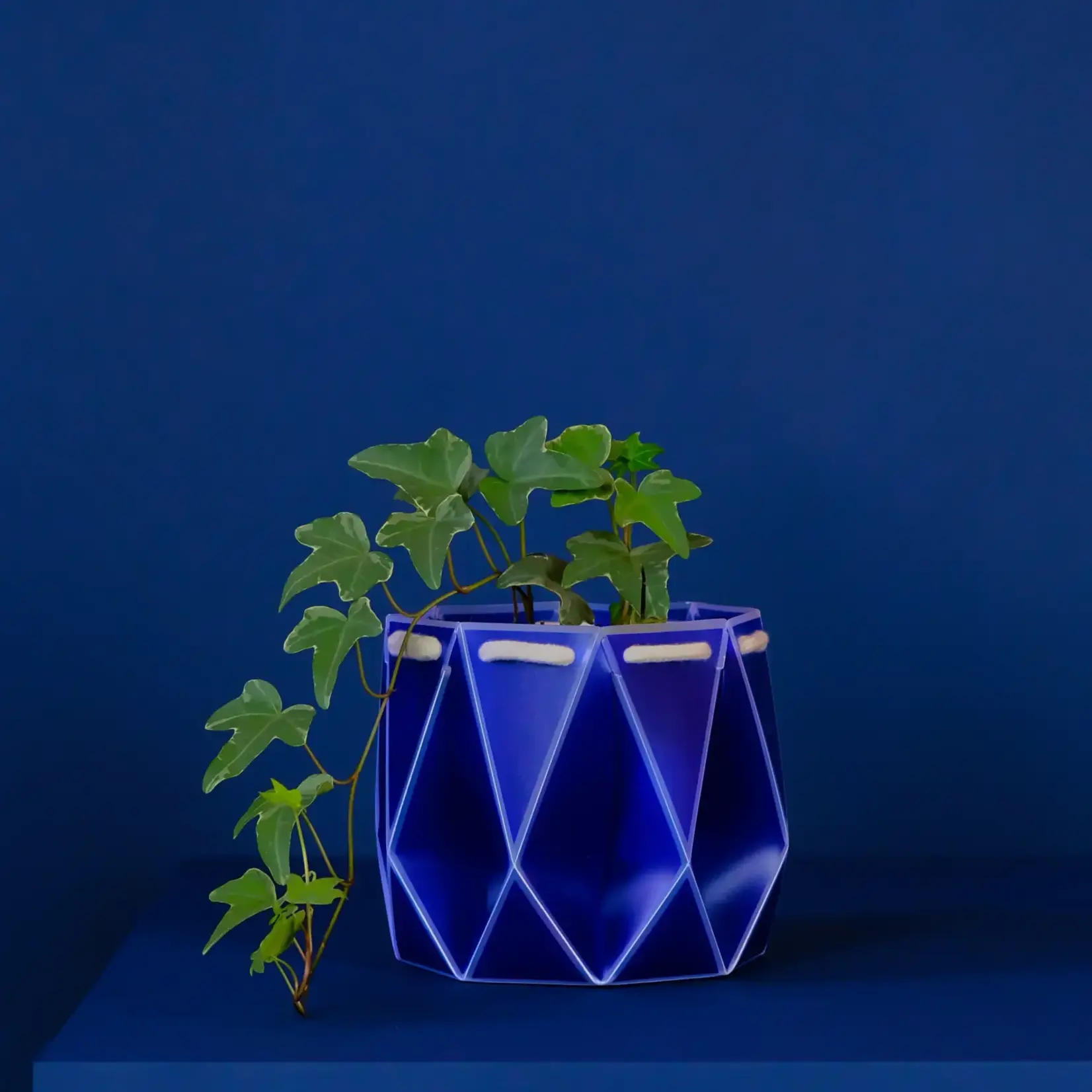 Pot, Self-watering 15cm