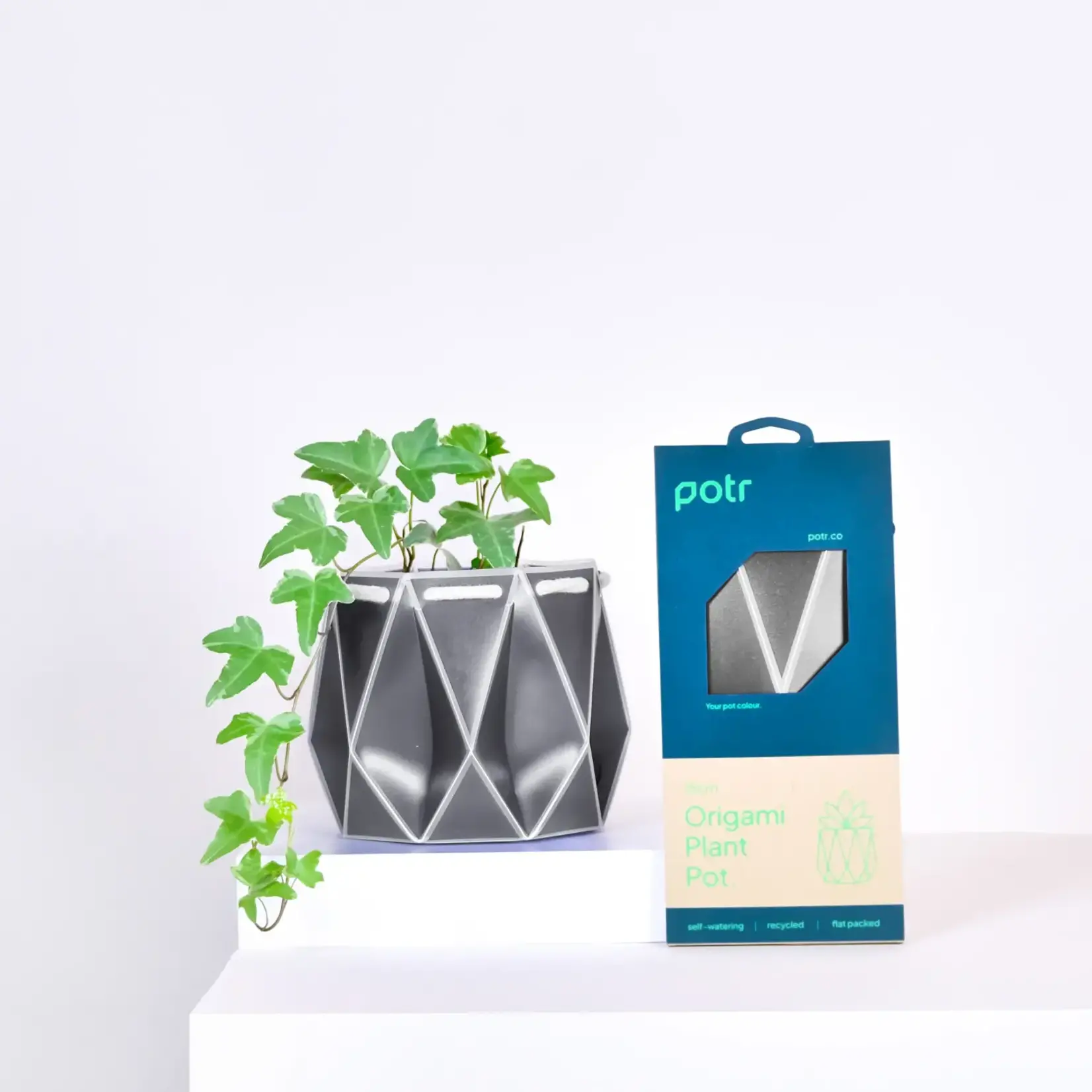 Pot, Self-watering 15cm