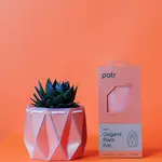 Pot, Self-watering 11cm