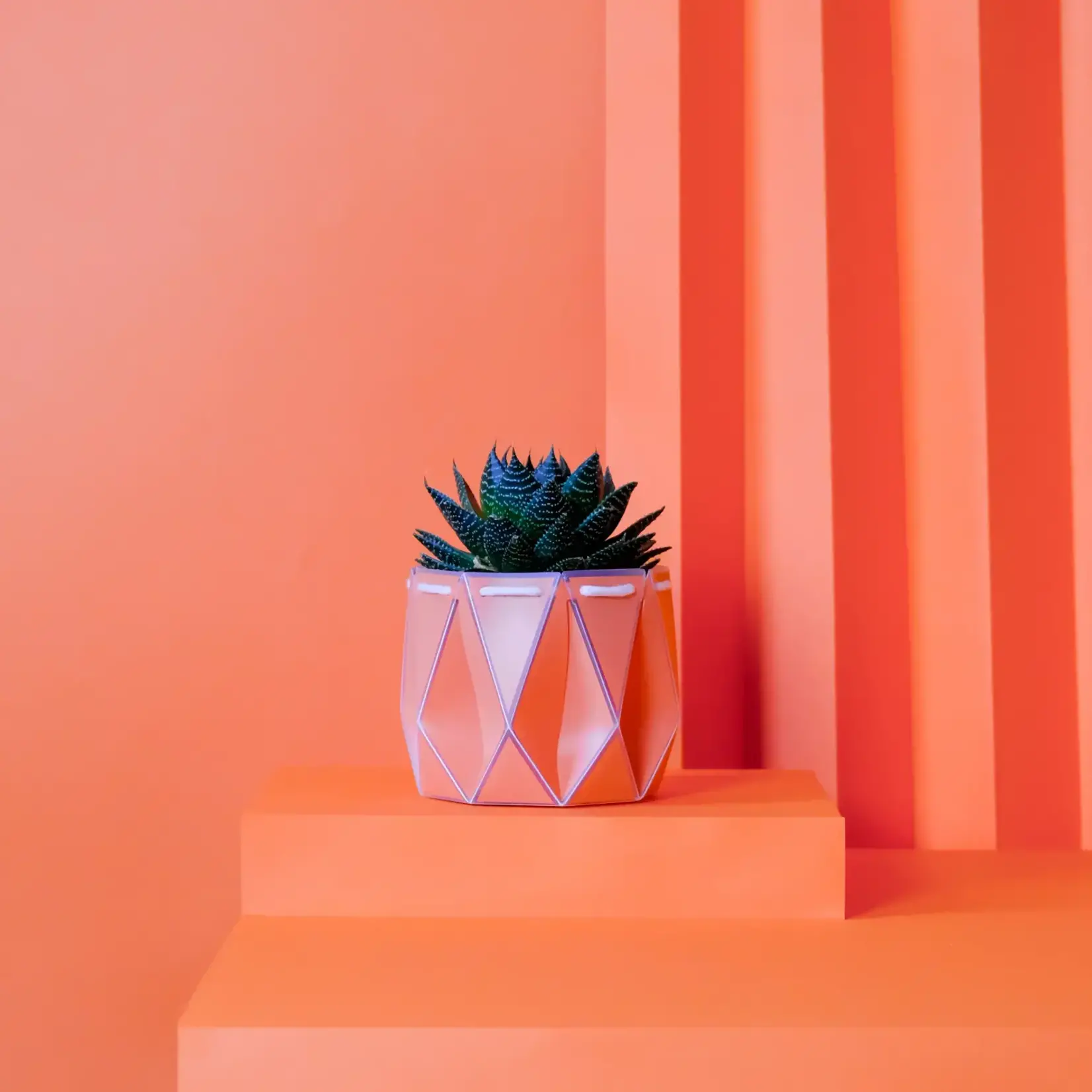 Pot, Self-watering 11cm