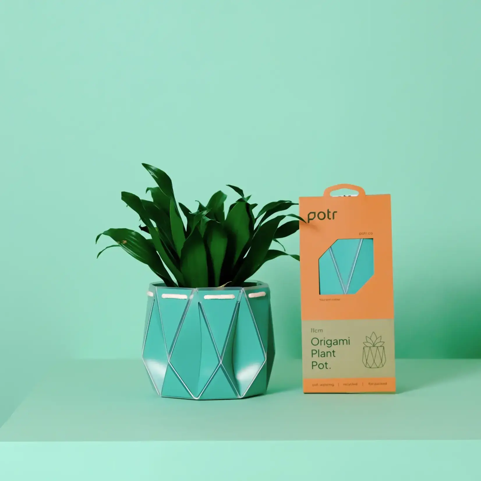 Pot, Self-watering 11cm