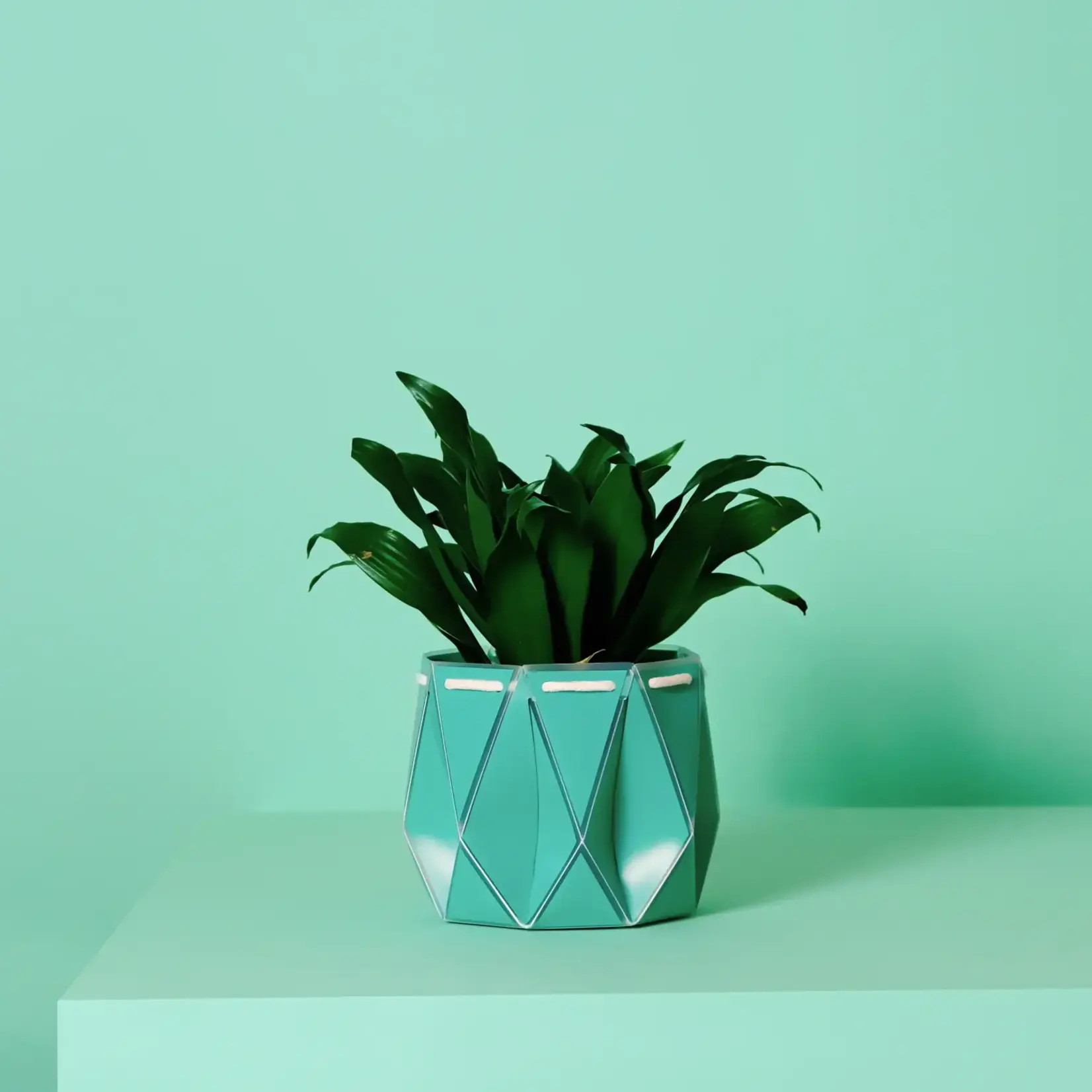 Pot, Self-watering 11cm