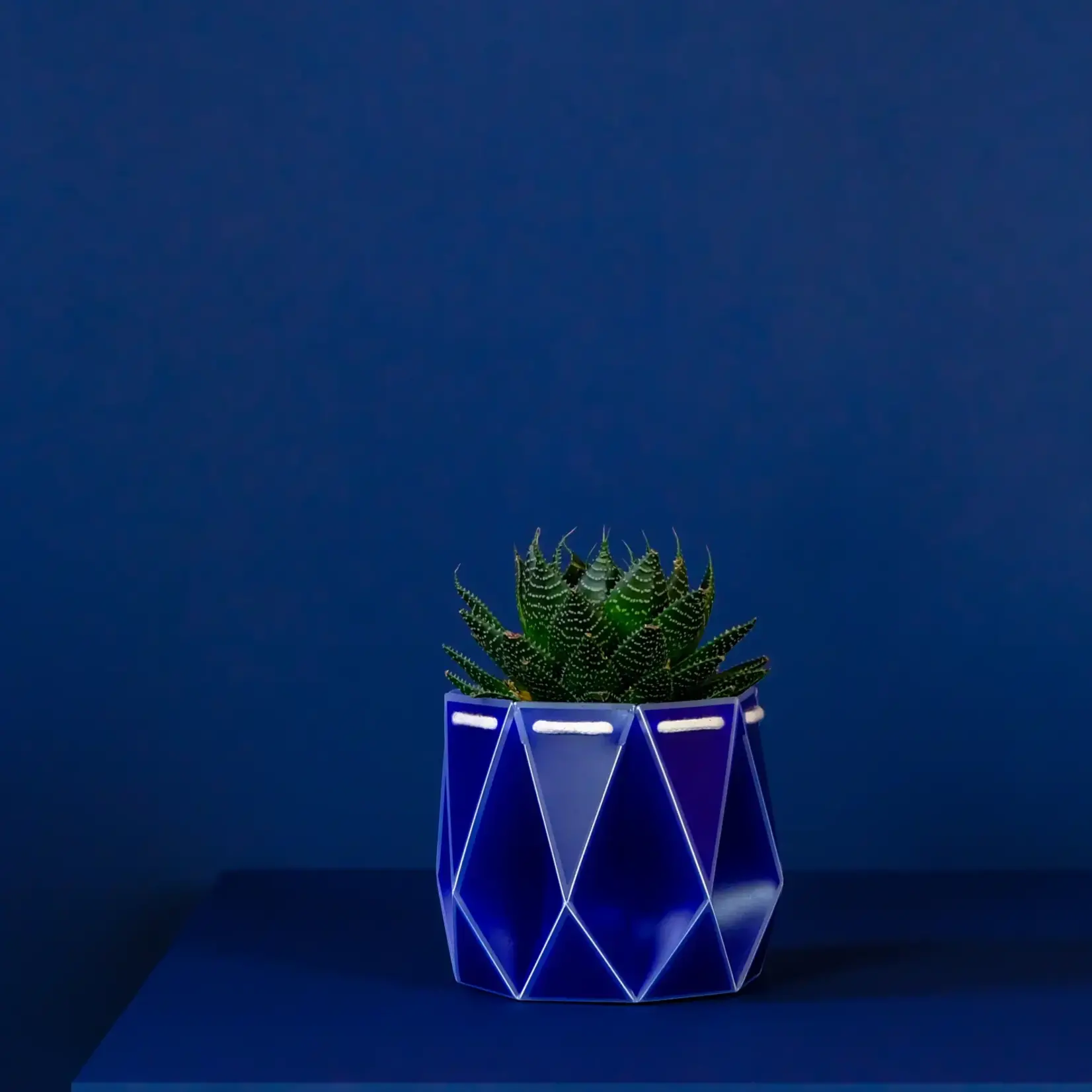 Pot, Self-watering 11cm