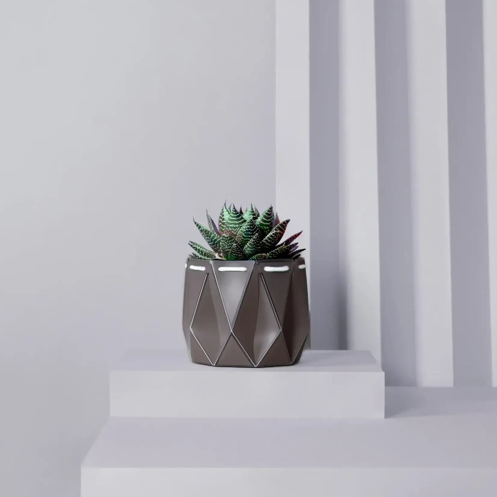 Pot, Self-watering 11cm