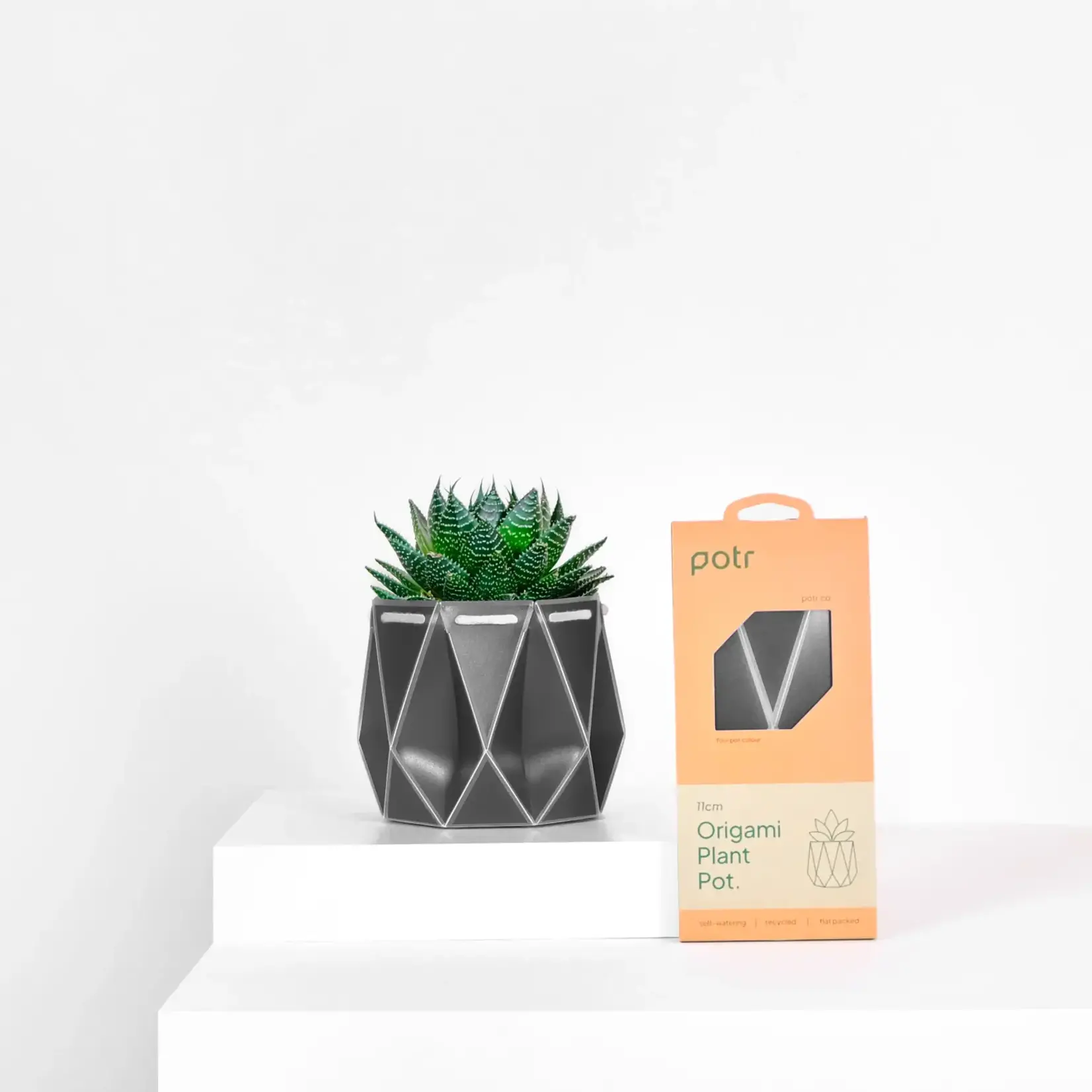 Pot, Self-watering 11cm
