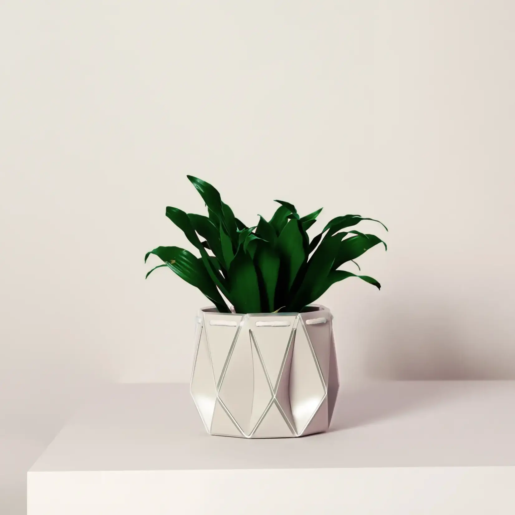 Pot, Self-watering 11cm