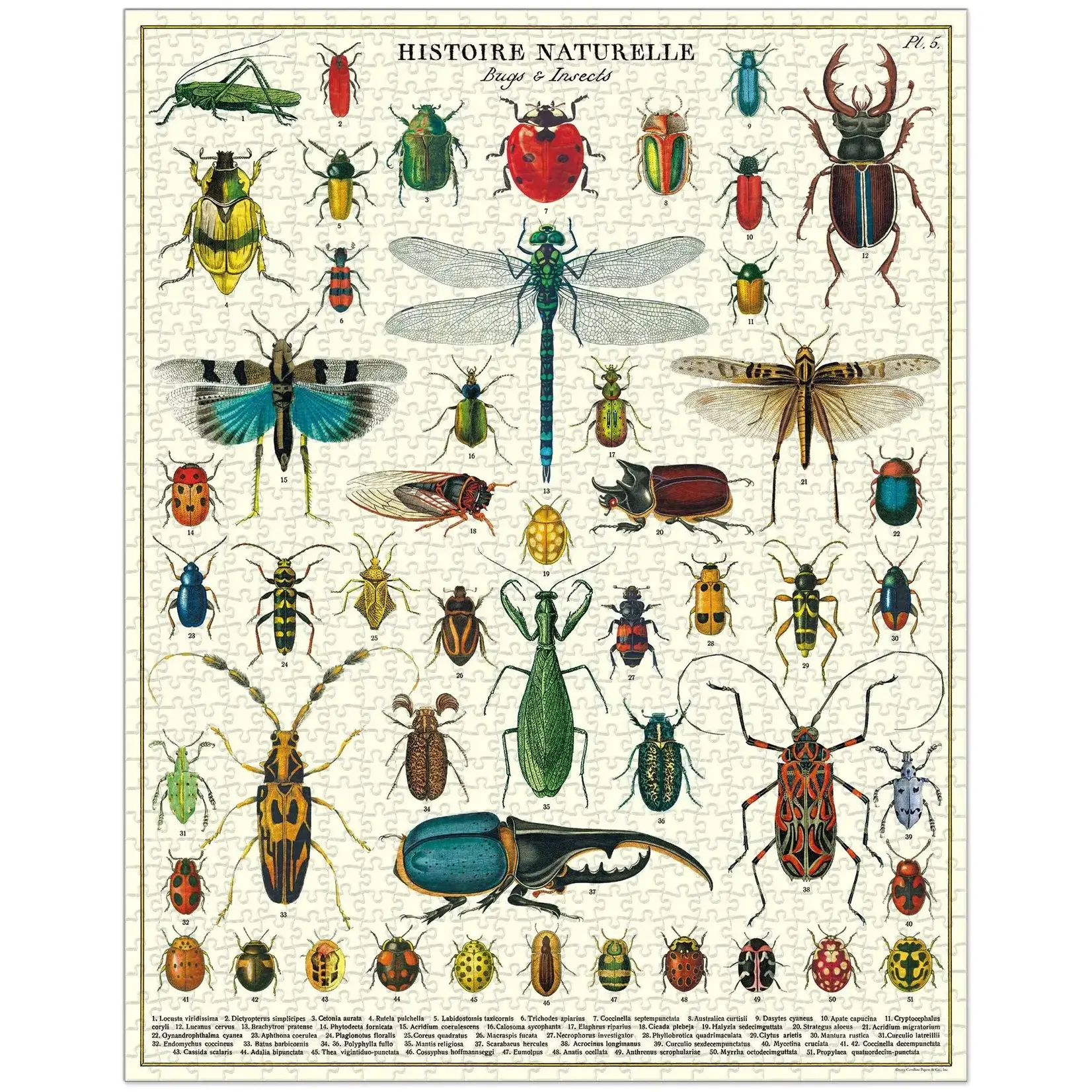 Puzzle, Vintage Nature