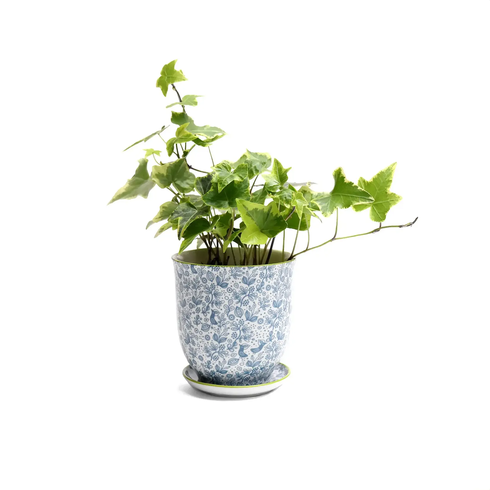 Pot, Liberte w/s 4.25in