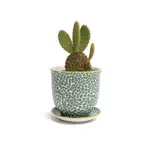 Pot, Liberte w/s 4.25in