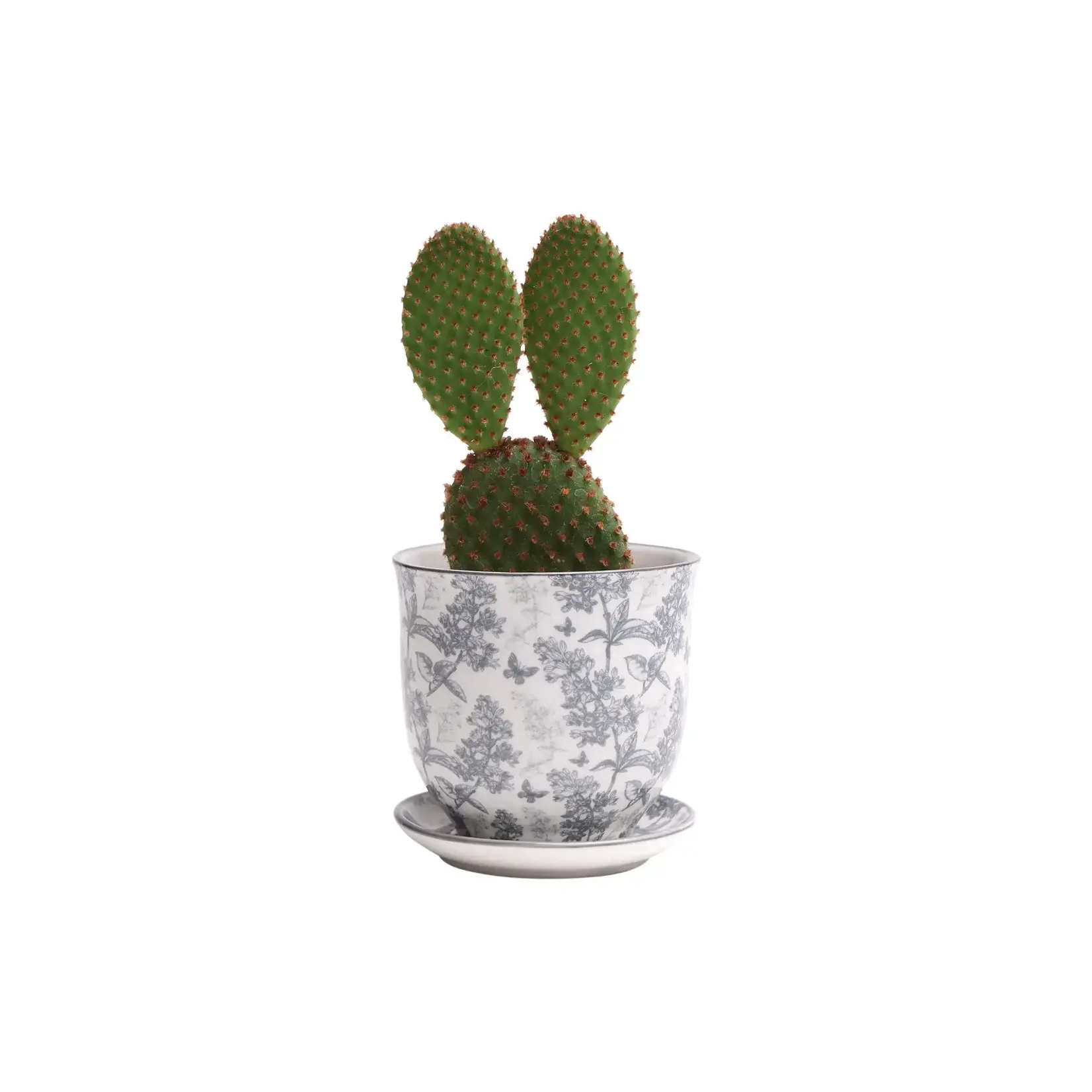 Pot, Liberte w/s 4.25in