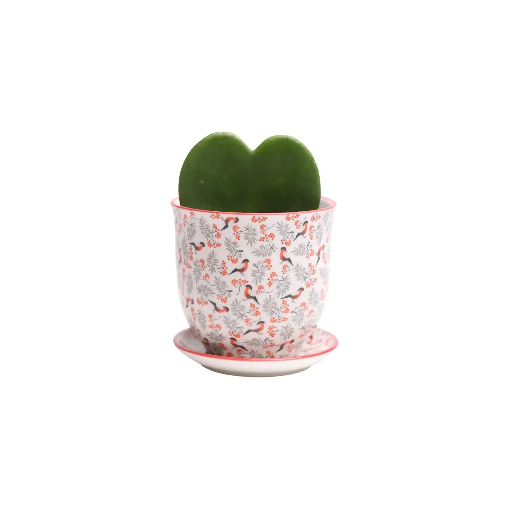 Pot, Liberte w/s 4.25in