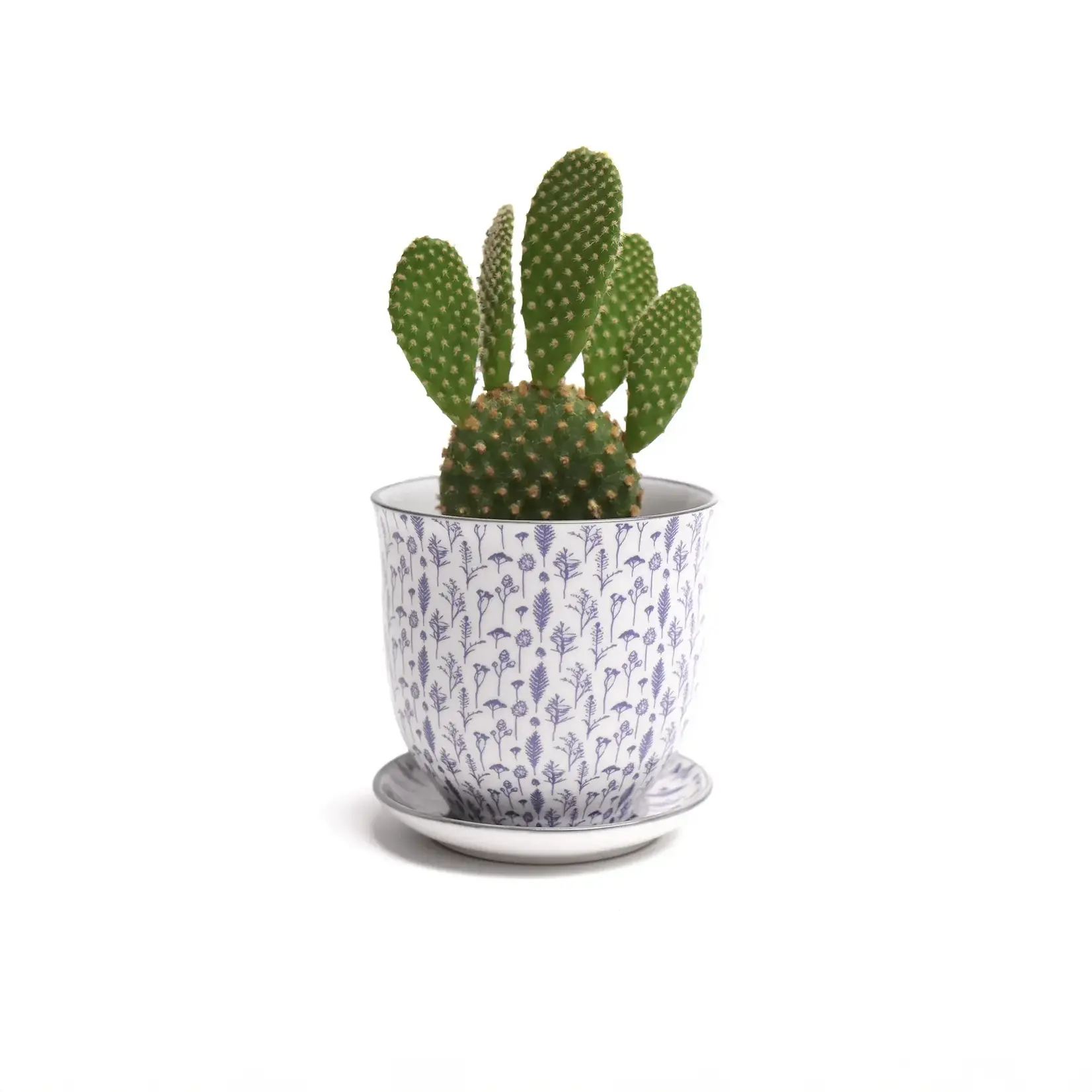 Pot, Liberte w/s 4.25in