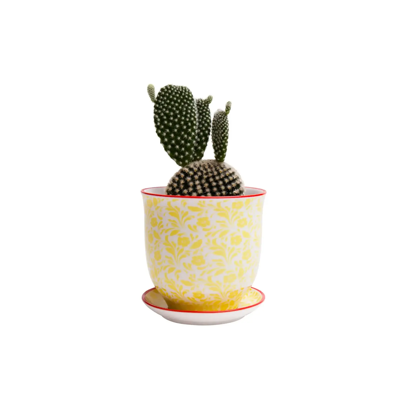 Pot, Liberte w/s 4.25in
