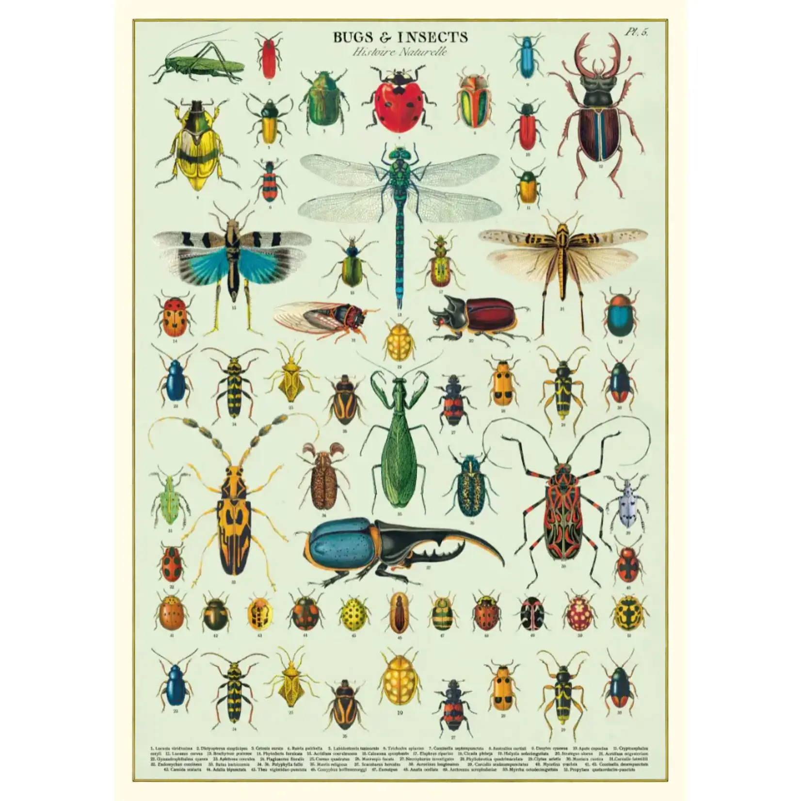 Poster Paper, 20x28