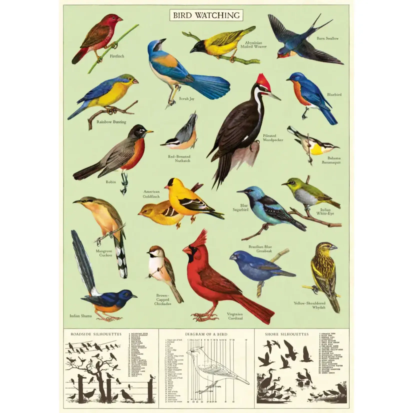 Poster Paper, 20x28