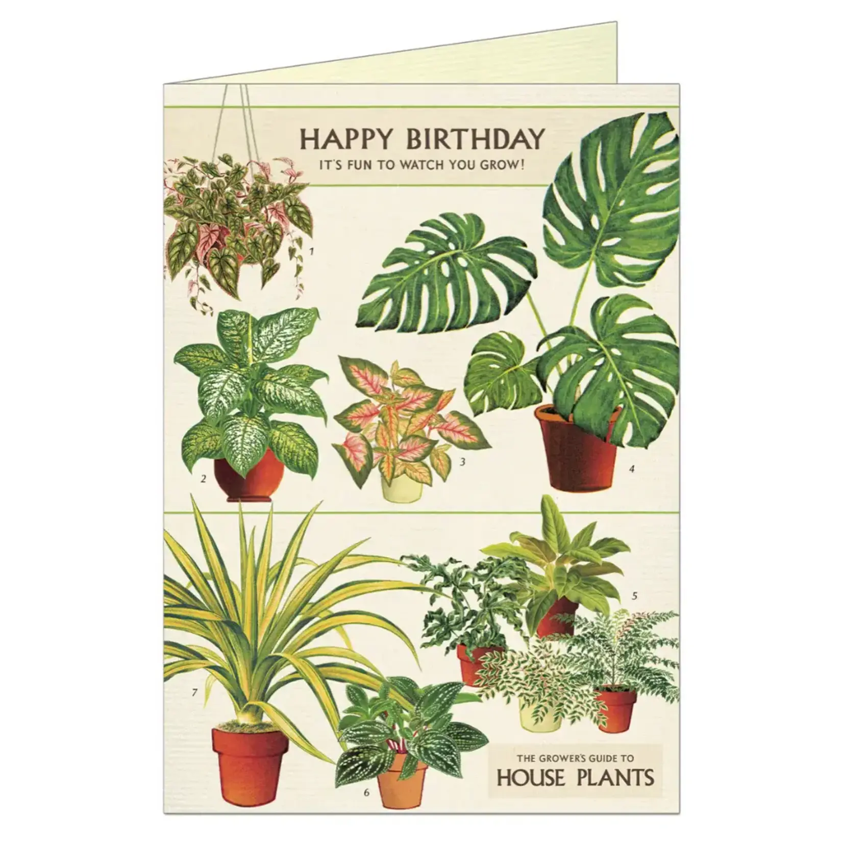 Card, Vintage Birthday