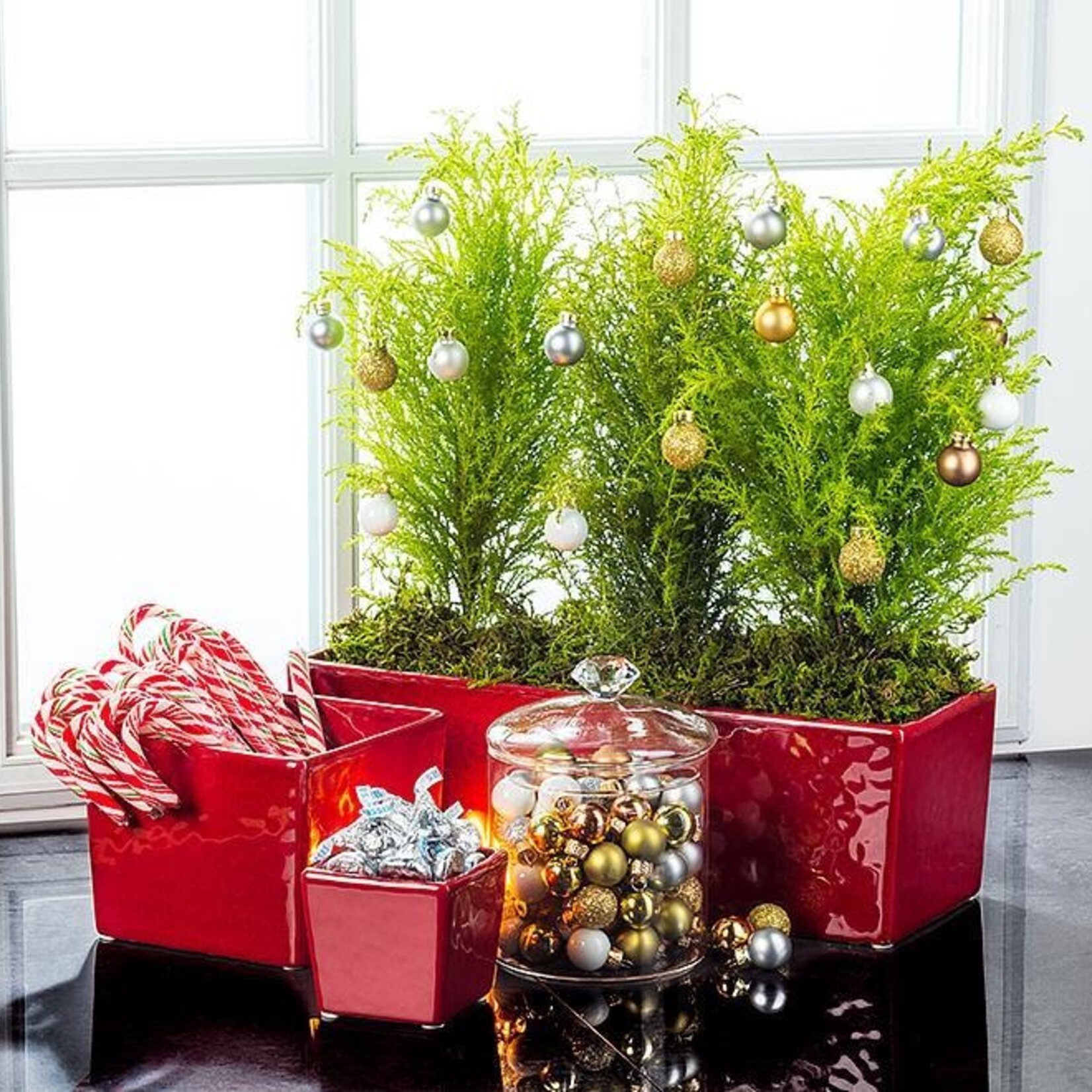 Planter, Long Slim Red