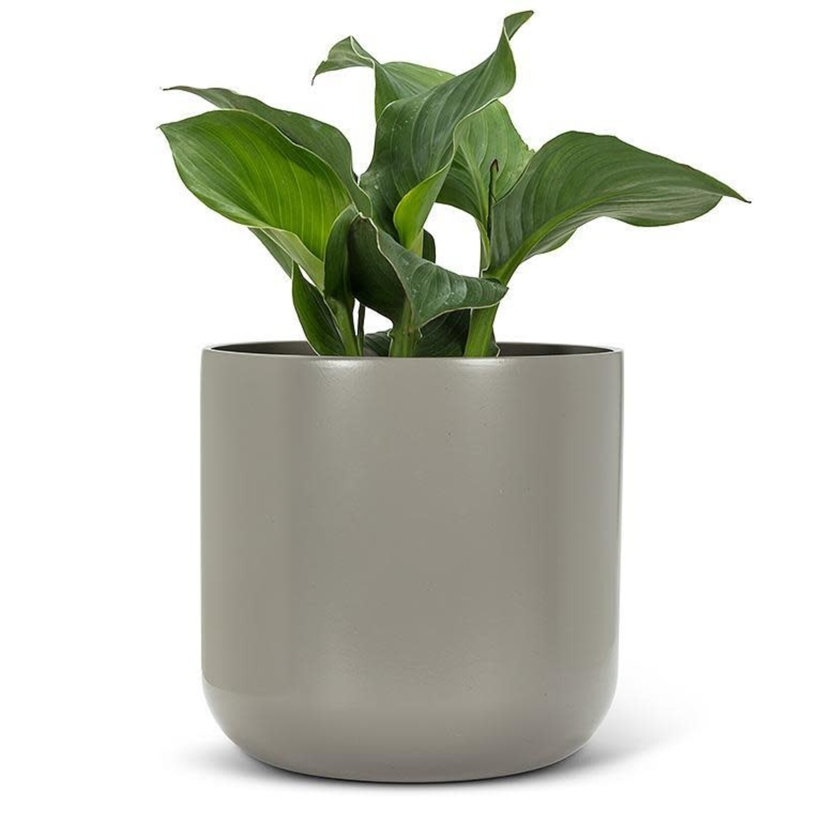 Planter, Dark Grey