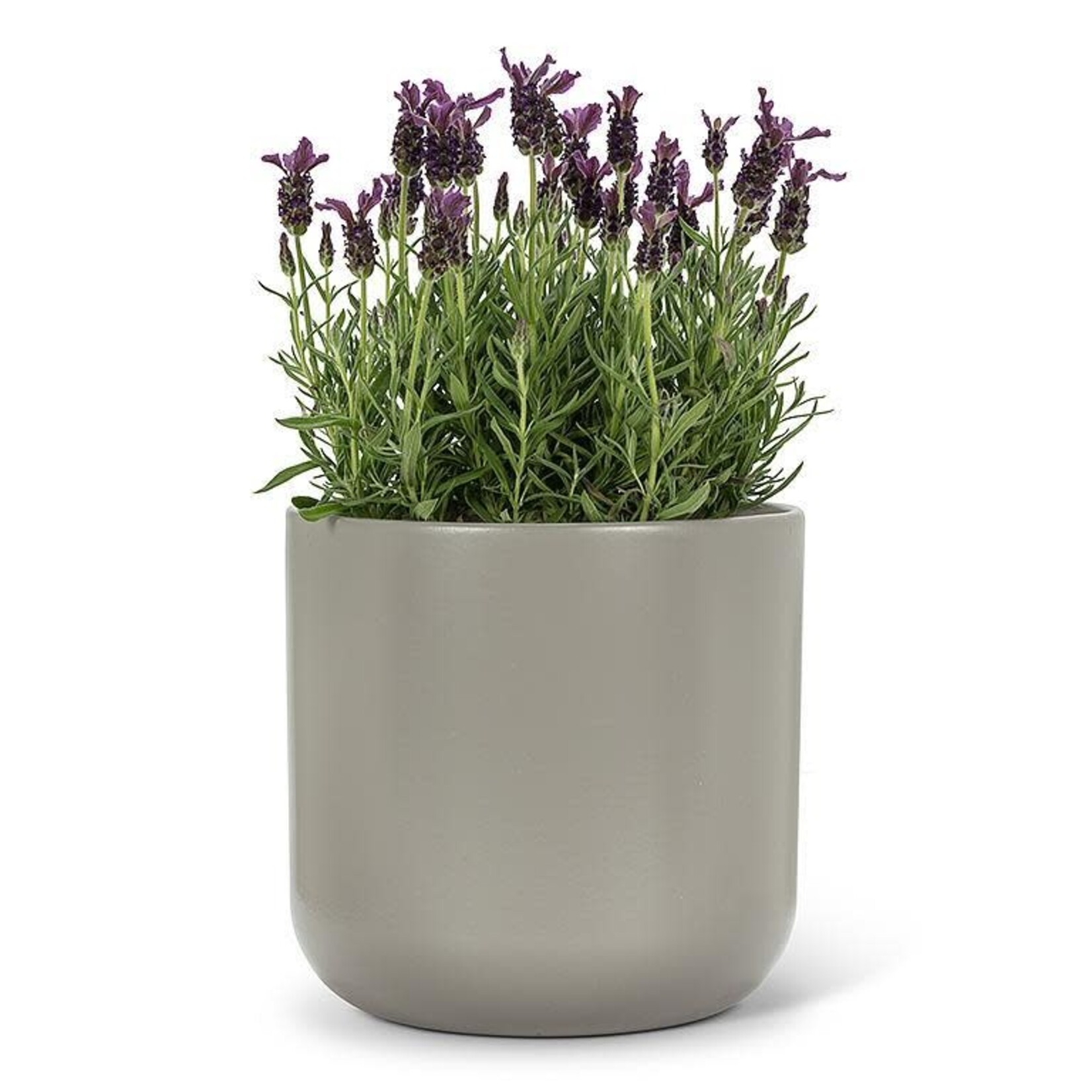 Planter, Dark Grey