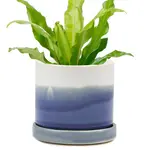 Pot, Blue Layers w/s