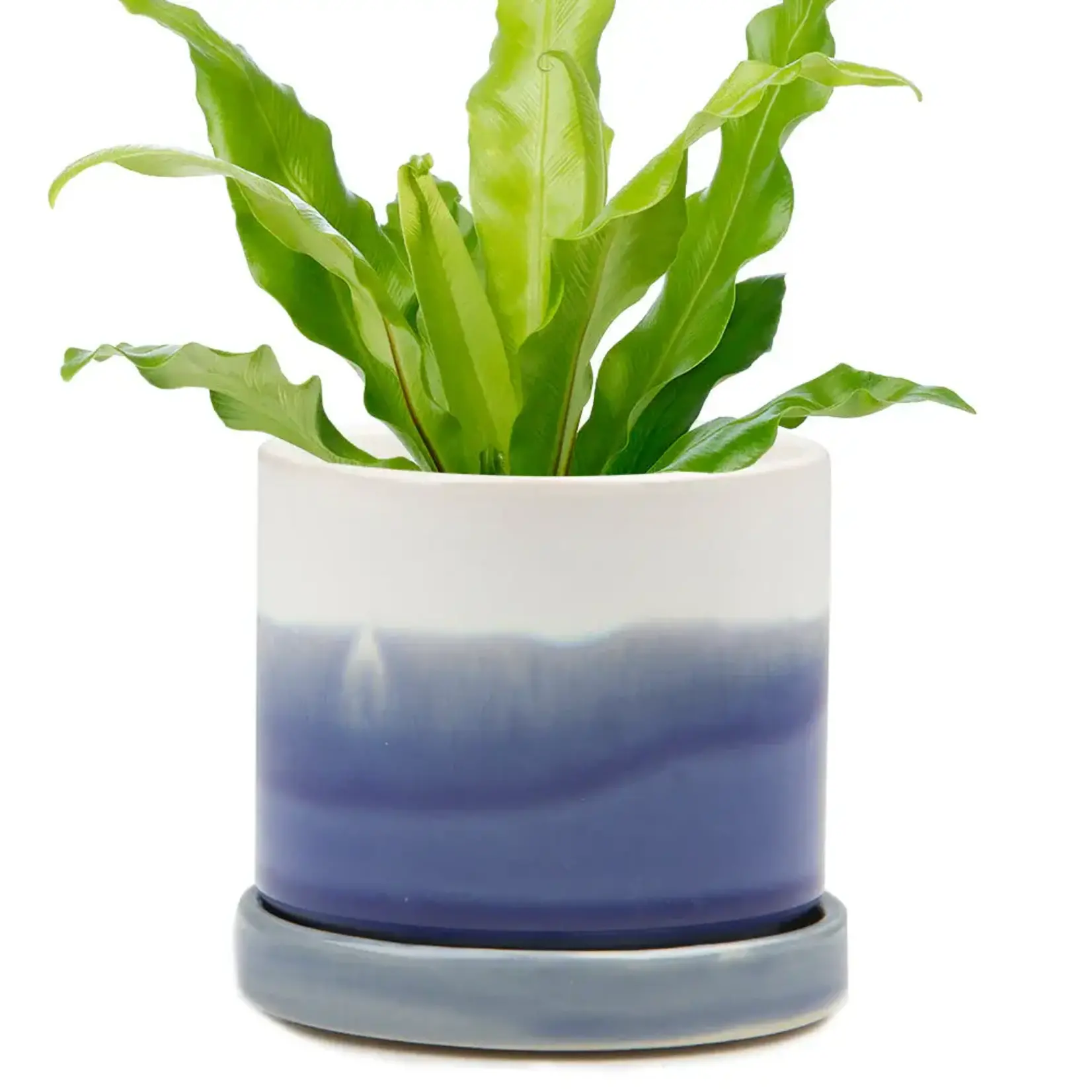 Pot, Blue Layers w/s